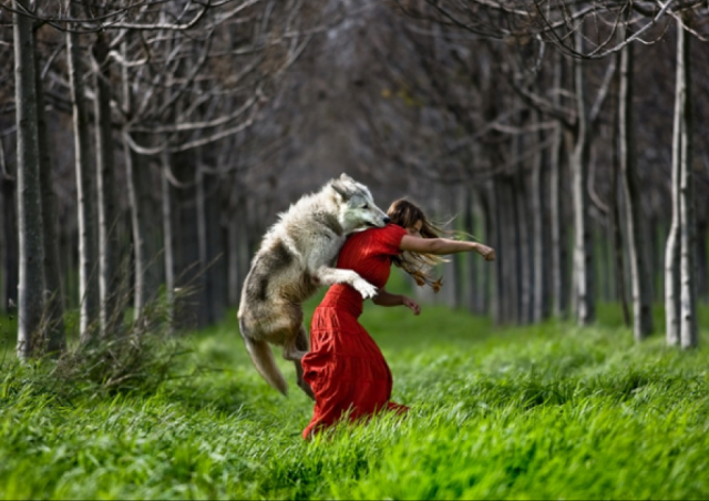 wolfattack.png, 777 KB